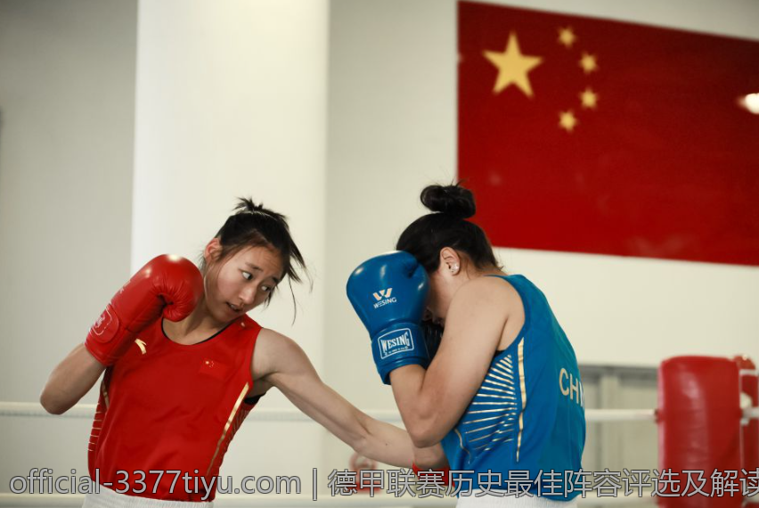德甲联赛历史最佳阵容评选及解读