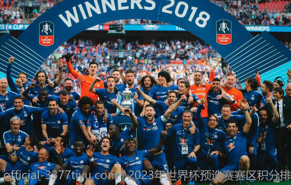 2023年世界杯预选赛赛区积分排名最新揭秘